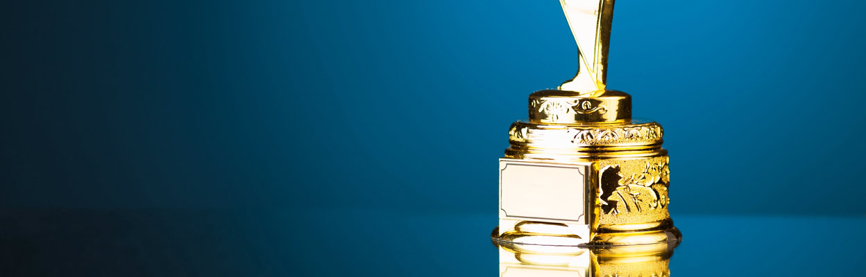 https://palamerican.com/wp-content/uploads/2016/12/paladin-security-usa-awards.jpg