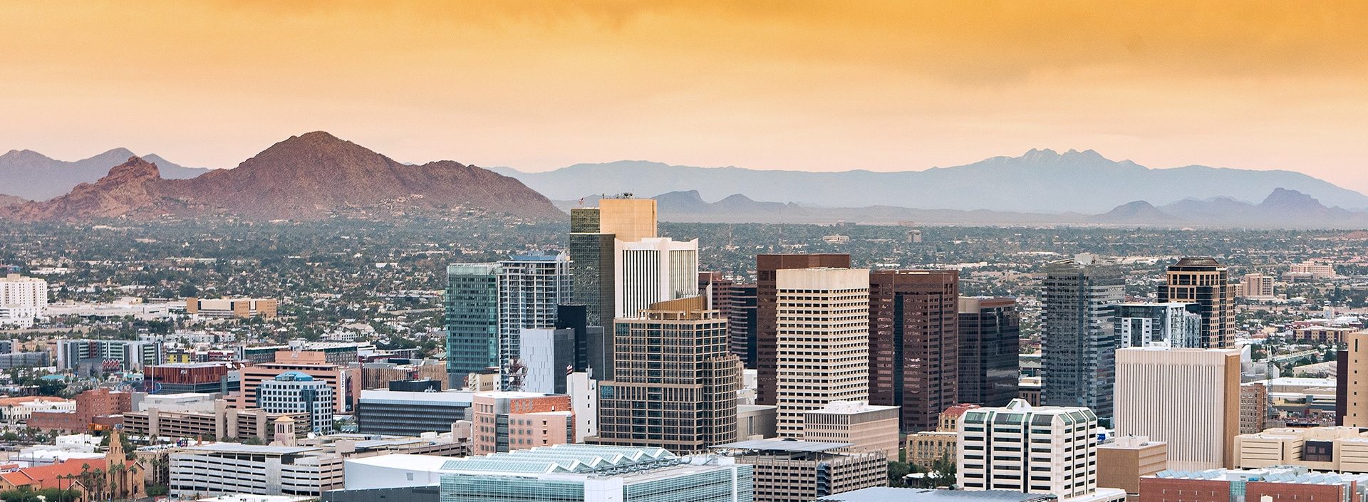 https://palamerican.com/wp-content/uploads/2020/07/phoenix-e1595891928861.jpg