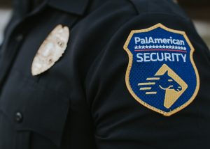 PalAmerican Security Resume