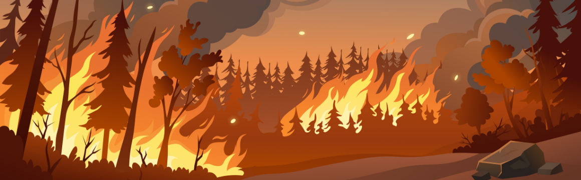 How Can Pacific Northwest Businesses Prepare for Wildfire Season Security Risks?